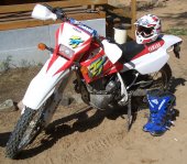 1997 Yamaha TT 600 E photo